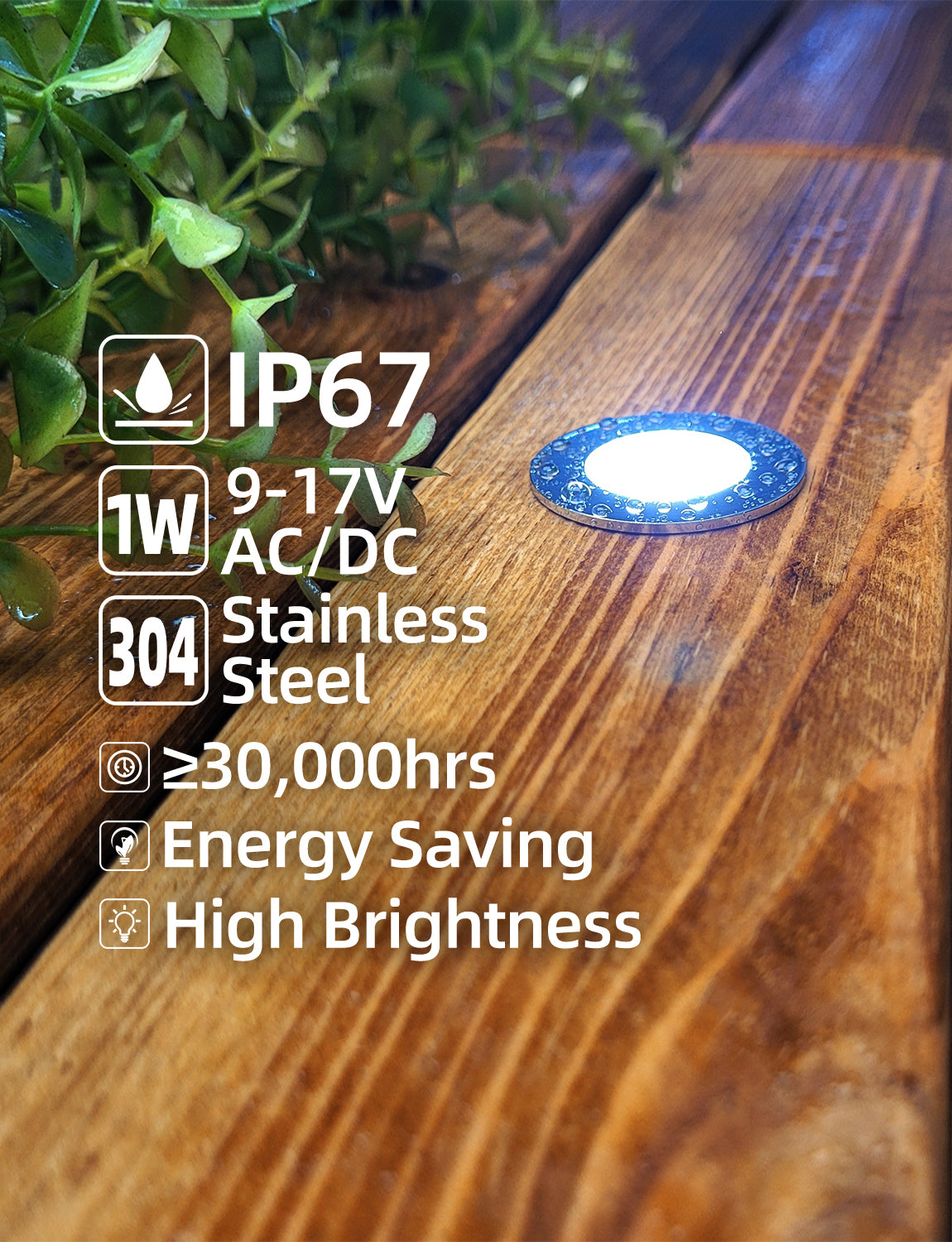 MALORY Low Voltage Stainless Steel 1W IP67 Recessed LED Deck Light 6pack (MLR-SSG04~06)