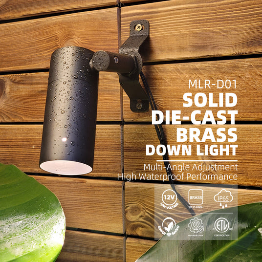 Outdoor low voltage down light for yard and landscape wall lighting