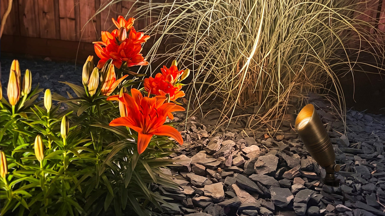12V Low Voltage Landscape Lighting