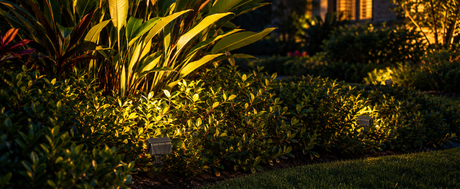 Garden Bed