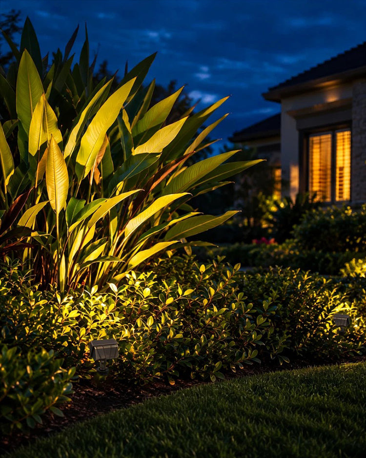 Garden Bed
