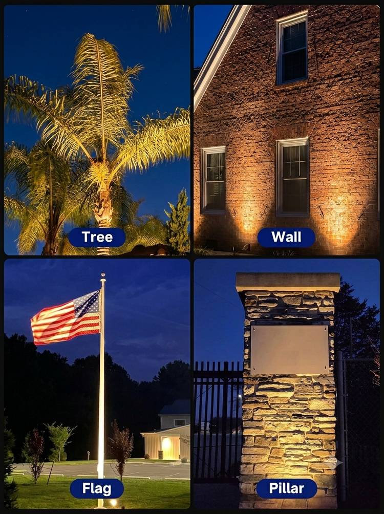 Lighting Compare