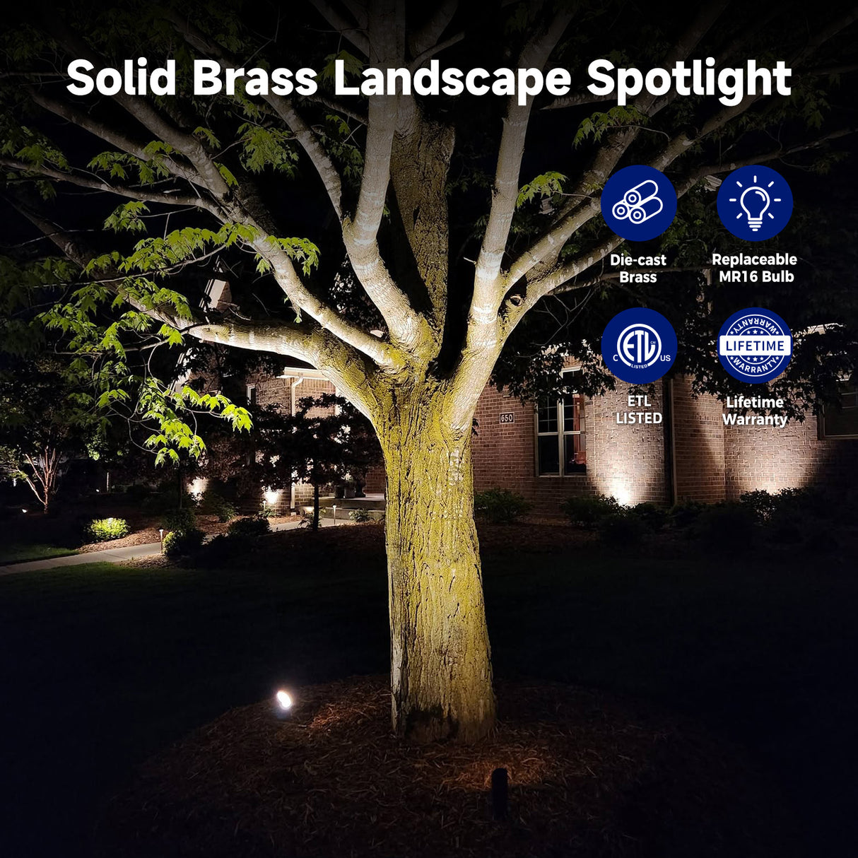 Malory S02 Solid Brass Landscape Spotlight illuminating a tree at night with certification logos.