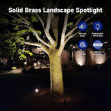 Malory S02 Solid Brass Landscape Spotlight illuminating a tree at night with certification logos.