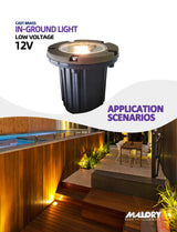 Brass inground landscape light MLR-G01 illuminating landscape at night