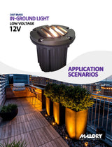 Brass inground landscape light MLR-G02 illuminating landscape at night