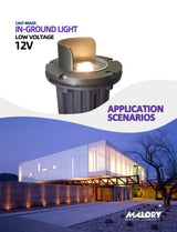 Brass inground landscape light MLR-G04 illuminating landscape at night