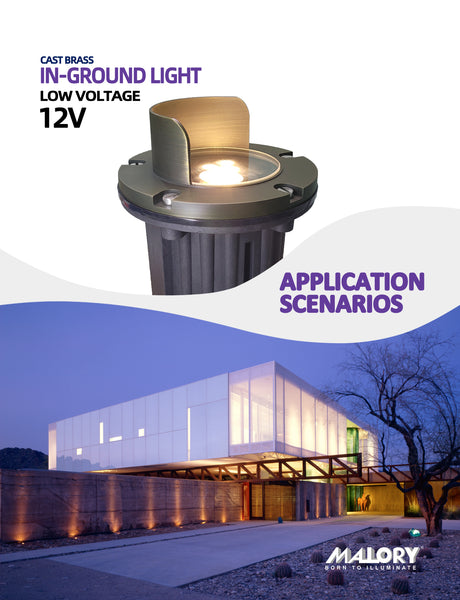 Brass inground landscape light MLR-G04 illuminating landscape at night