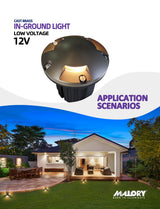 Brass inground landscape light MLR-G07 illuminating landscape at night