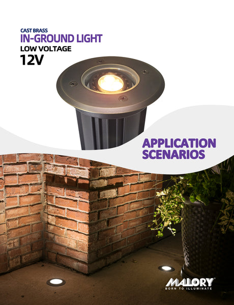 Brass inground landscape light MLR-G01 illuminating landscape at night